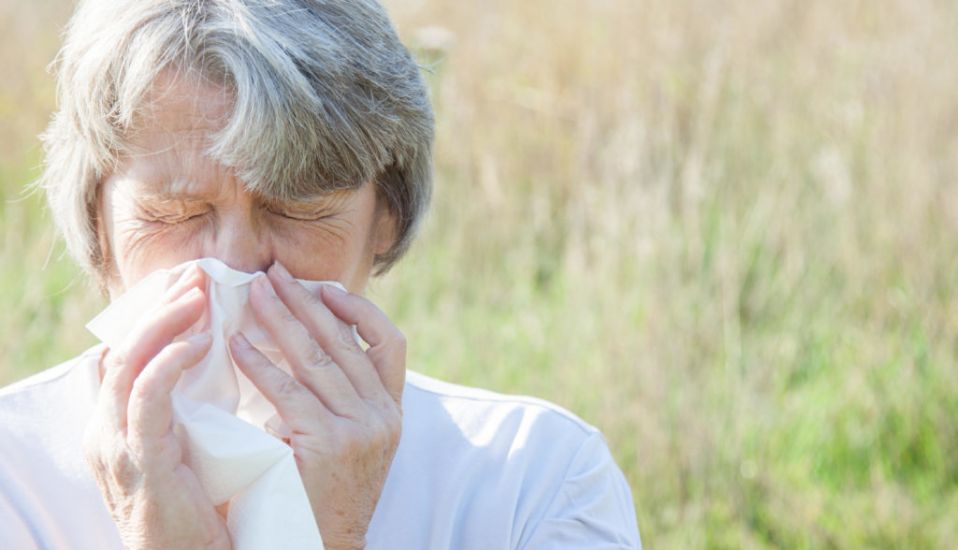 Do I Have A Cold Or Hay Fever? An Expert Explains How To Tell The Difference